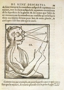 1662年、ハーグで出版されたルネデカルト（1596-1650）によるデホーミネフィグリスのイラスト 作： French School