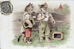 状況に応じた猫のイラスト - ポストカード 20世紀初頭