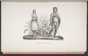 アメリカ、アジア、アフリカ、大洋の島々からの野蛮人の肖像画を含む、世界一周の絵のような航海からのイースター島の住民。 風景、海の景色、いくつかの自然史オブジェクト。 dを伴う 作： French School
