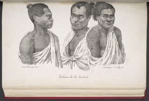 アメリカ、アジア、アフリカ、大洋の島々からの野蛮人の肖像画とともに、世界一周の美しい航海からサンドイッチ諸島の住民。 風景、海の景色、いくつかの自然史オブジェクト。 同伴 作： French School