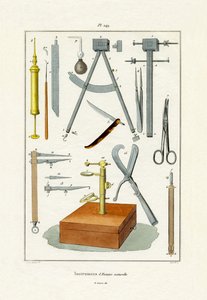 楽器、1833-39 作： French School