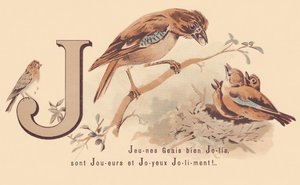 J：Young Jays Pretty are Players and Happy Jolily!