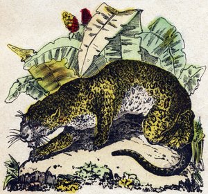 ジャガーAlphabet des animaux sauvages "に掲載されている彫刻。9th Serie.エピナルのイメージ、ペラン、印刷・出版業者、1870年頃。木にステンシルで描かれた版画。16ページ。16ページ。厚さ20×15cm。個人蔵 作： French School
