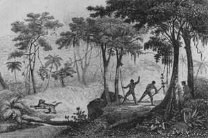 ジャガーハント、「Bresil、Columbie et Guyanes」、フェルディナンドデニス、シーザーファミン1837