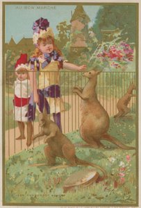 動物園でのカンガルー 作： French School