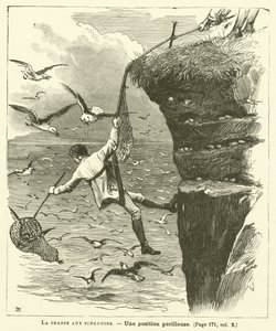 ペンギン狩り（版画 作： French School