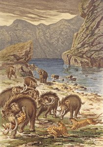 人間以前のフランス、マンモスと巨大猫（カラーリトグラフ） 作： French School