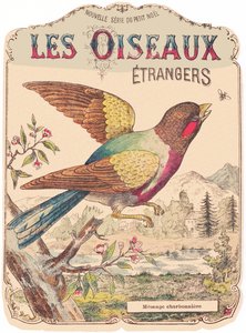 Les Oiseaux Étrangers：アルバムジャケット。シャルボニエール・メサンジュ、19世紀後半（版画） 作： French School