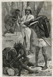 ダリエン（パナマ東部の地域）のポータ（カウシェロス）たち。1876年から1878年にかけて船の中尉だったA.レクルスが「ツアー・デュ・モ」に掲載したパナマとダリエンの島での探検物語を説明するために、D.Maillartが描いた絵の後のエングレーヴィング。 作： French School