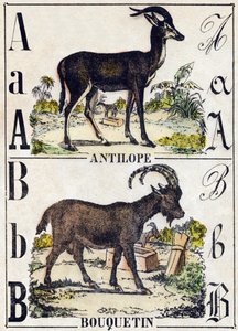 文字 A アンテロープ、B アイベックス。Alphabet des animaux sauvages "に掲載されている図版。9番目のシリーズ。エピナルのイメージ、ペラン、印刷・出版業者、1870年頃。木にステンシルで描かれた版画。16ページ。20×15cm。個人蔵 作： French School