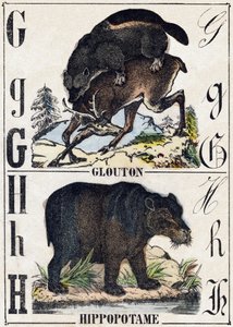 文字 G グラットン、H ヒポタマス。Alphabet des animaux sauvages "の版画。第9部。エピナルのイメージ、ペラン、印刷・出版業者、1870年頃。木にステンシルで描かれた版画。16ページ。20×15cm。個人蔵 作： French School