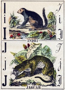 文字 I Indri（Lemurien）、J Jaguar（Jaguar）。Alphabet des animaux sauvages "の刻印。第9部。エピナルのイメージ、ペラン、印刷出版社、1870年頃。木にステンシルで描かれた版画。16ページ。20×15cm。個人蔵 作： French School