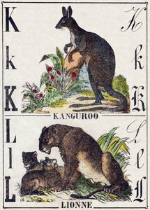 文字 K L; K Kanguroo; L Lionne.Alphabet des animaux sauvages "に掲載されている版画。第9部。エピナルのイメージ、ペラン、印刷・出版業者、1870年頃。木にステンシルで描かれた版画。16ページ。16ページ。厚さ20×15cm。個人蔵 作： French School