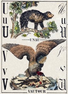 文字 U ウナウ（怠け者）、V ハゲタカ。Alphabet des animaux sauvages "の刻印。9番目のシリーズ。エピナルのイメージ、ペラン、印刷・出版業者、1870年頃。木にステンシルで描かれた版画。16ページ。20×15cm。個人蔵 作： French School