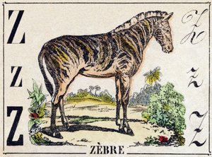 文字Z Zebre。Alphabet des animaux sauvages "に掲載されている版画。第9部。エピナルのイメージ、ペラン、印刷・出版業者、1870年頃。木にステンシルで描かれた版画。16ページ。20×15cm。個人蔵 作： French School