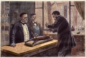 ルイ・パスツール（1822-1895）：フランスの化学者・微生物学者。狂犬病の治療法を求めて、クロロホルムをかけたウサギで実験を行った。 作： French School