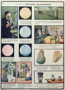 ルイパスツール（1822-95）と細菌病、Les Sciences Physiques et Naturelles、パリ、1908年