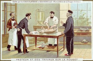 はしかの調査に取り組んでいるルイパスツール（1822-95）、チョコレートリ・ダイグベルの広告カード