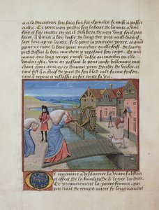 Ms 165 fol.48v A水車小屋、ジューンプリンス、ルネダンジュ作、1465-68年