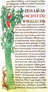 Ms 173 f.41歴史的イニシャル私は教皇グレゴリー大王によるヨラリアのヨラリアからの修道士と一本の木を切り刻んで剪定することを描いた 作： French School