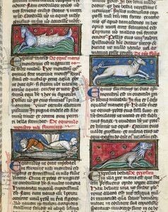 Ms 320 Fol.115r Thomas van Cantimpre (1201-72) の「De Natura rerum」から「海の魔物」（ベラム）。 作： French School