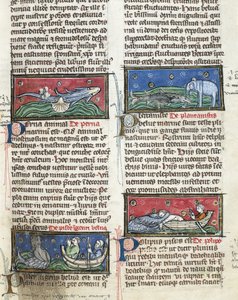 Ms 320 Fol.116 Thomas van Cantimpre (1201-72) の「De Natura rerum」から「海の魔物」（ベラム製）。 作： French School