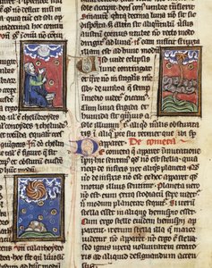 Ms 320 Fol.197 Thomas van Cantimpre (1201-72) の「De Natura rerum」からの彗星 (vellum) 作： French School