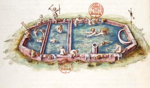 Ms 3243 ネリス・レ・バンのネリス浴場、ニコラ・ド・ニコライの「ブルボンネの一般的記述」からの図版 作： French School