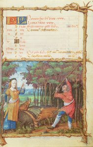 Ms 438 11月の月：時間の書からのドングリの収集、1490 作： French School