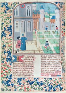 Ms 5064 f.151v The Garden、illustration from Le Livre des Prouffitz Champestres by Pietro de Crescenzi（1230-132021） 作： French School