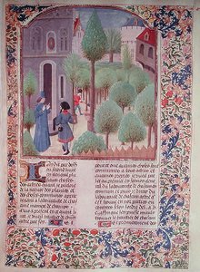 Ms 5064 fol.105r植樹、Livre des Prouffitz Champestres、Pietro de Crescenzi（1230-132021）