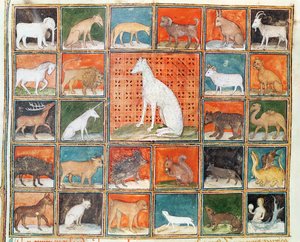 Ms 993 fol.254v獣の性質：哺乳類、ジャン・コルディションのLe Livre des Proprietes des Chosesから 作： French School