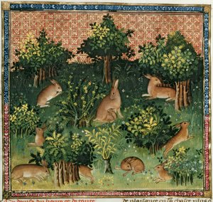 Ms Fr 616 fol.24v森の中のノウサギ、ガストンフェブスデフォワ（1331-91）によるLivre de la Chasseから 作： French School