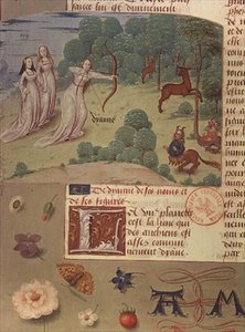 Ms Fr 9197 fol.140v ダイアナの狩猟（Livre des Eschecs D