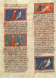 Ms H 89 fol.21v Rogier de Salerneによる「Book of Surgery」のエディションの解剖図