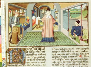 Ms Lat 6966 fol.154v植物の切断と薬の準備、Bernard de GordonによるLAntidotaireから 作： French School