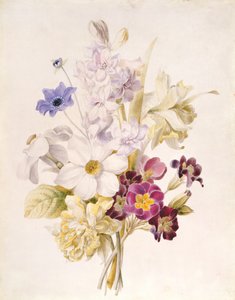 水仙と他の花、1840年（紙にトイレ） 作： French School
