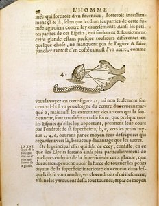 光学図、1662年、ハーグで出版されたルネデカルト（1596-1650）によるデホーミネフィグリスから 作： French School