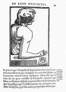 ルネ・デカルトの「人間の本質」のページ。