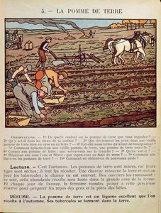 ジャガイモの栽培を説明する学校の教科書のページ、1910年頃 作： French School
