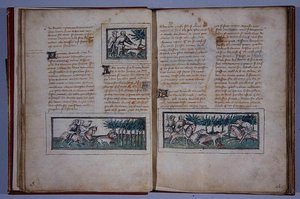 アンリドフェリエール作のLe Livre du Roy Modus et de la Royne Racioの57ページと58ページ、c.1420（ペンとインク、トイレット紙） 作： French School