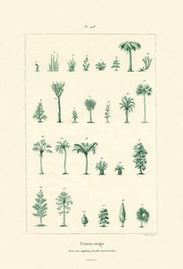 古生物学、1833-39 作： French School