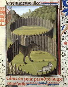狼のピエージュ - 『ベアルン伯爵フォワ伯爵ガストン・フィーバスの狩猟記』より