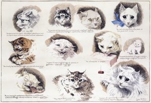 マザス刑務所の計画と囚人のための独房、パリ、ブルバードマザス（紙にトイレ） 作： French School