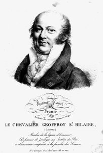 エティエンヌ・ジェフロワ・サンティレールの肖像（1722-1844） 作： French School