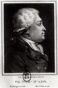 Felix Vicq dAzyr（1748-94）の肖像 作： French School