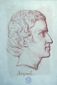 フランソワ・ヴァンサン・ラスパイユ（1794-1878）の肖像（紙に赤チョーク） 作： French School