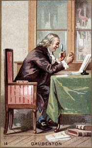 フランスの博物学者、ルイ・ジャン・マリー・ドーベントン（1716～1800）の肖像。 作： French School