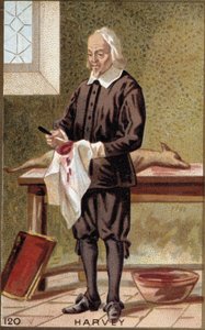 イギリスの医師、ウィリアム・ハーヴェイ（1578-1657）の肖像。 作： French School