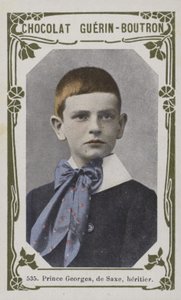 ザクセン州のジョージ王子、相続人（カラー写真） 作： French School